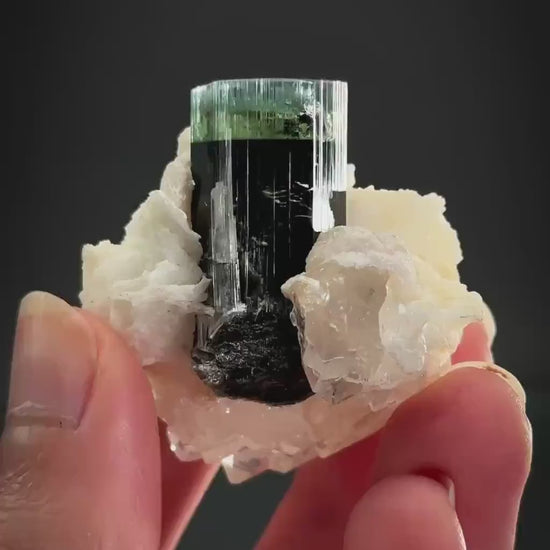 Blue-Green Cap Tourmaline with Albite & Quartz | Bi-Color Elbaite Crystal, Mineral Specimen from Pakistan