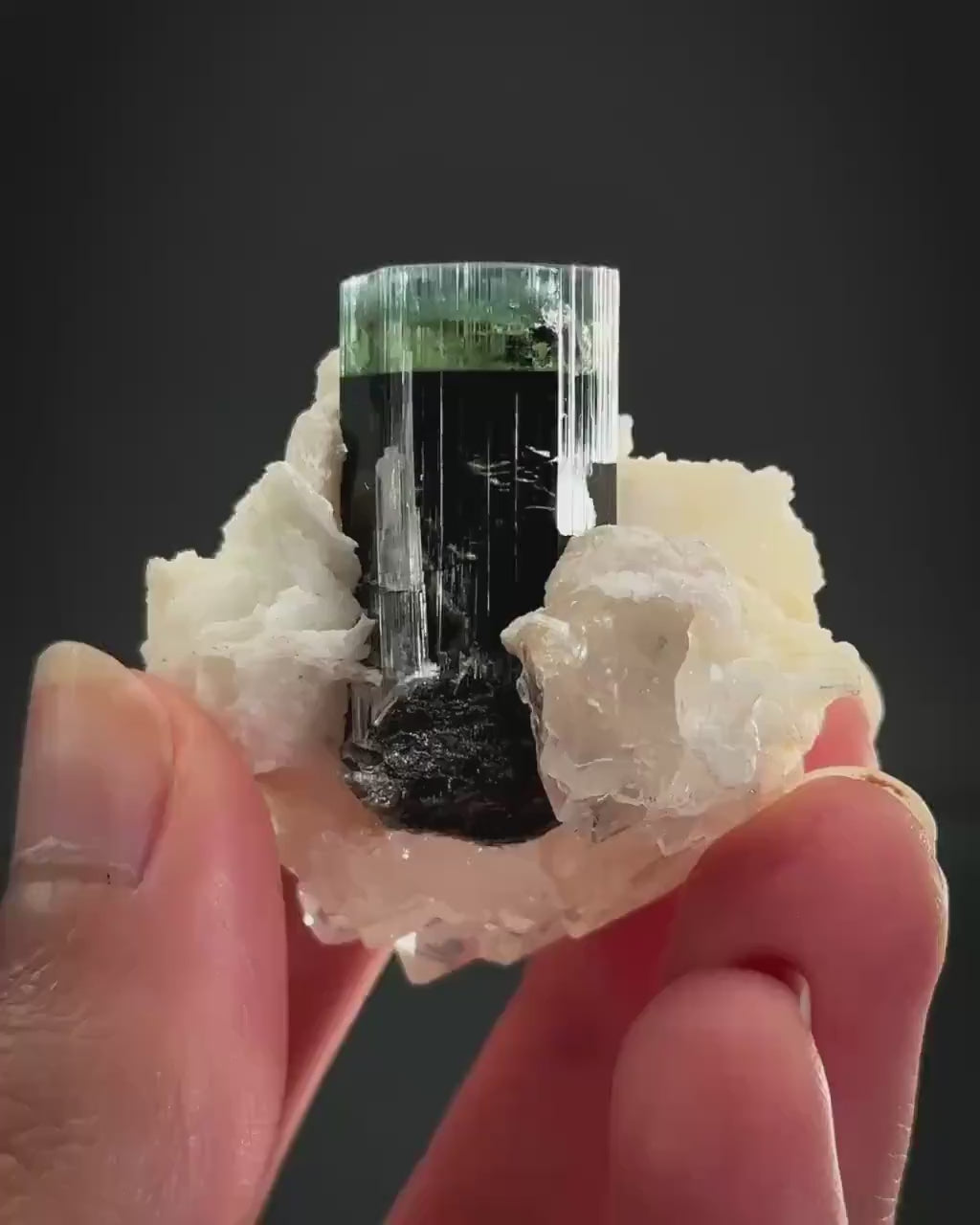 Blue-Green Cap Tourmaline with Albite & Quartz | Bi-Color Elbaite Crystal, Mineral Specimen from Pakistan