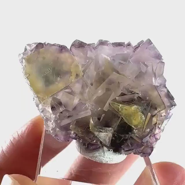 Okorusu Fluorite (Namibia) | “Honey Pocket” fluorite cluster, yellow fluorite crystal, mineral specimen
