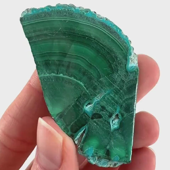 Malachite & Chrysocolla Slice (Congo), natural malachite, malachite slice, malachite slab, malacolla slice, polished malachite