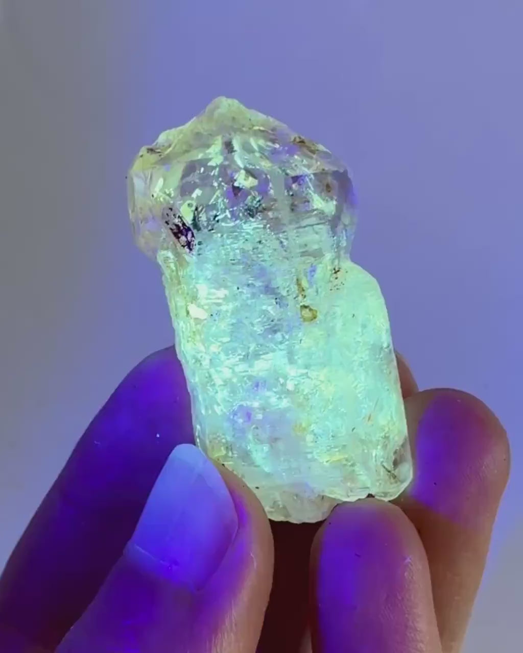 UV Reactive Petroleum Quartz (Madagascar) | natural firefly petroleum quartz crystal, fluorescent minerals