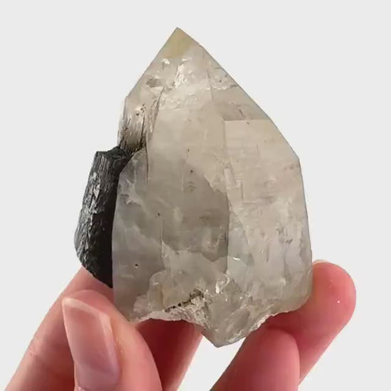Black Tourmaline on Smoky Quartz | schorl crystal cluster, mineral specimen from Namibia