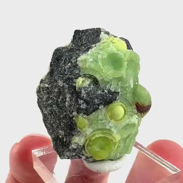 Wavellite (Arkansas, USA) | green crystal cluster, mineral specimen
