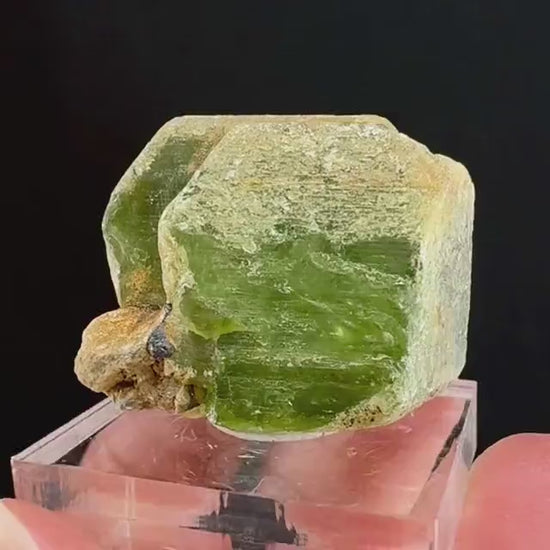 Naturally terminated peridot crystal (Pakistan) | raw peridot, natural peridot, peridot crystal, peridot point