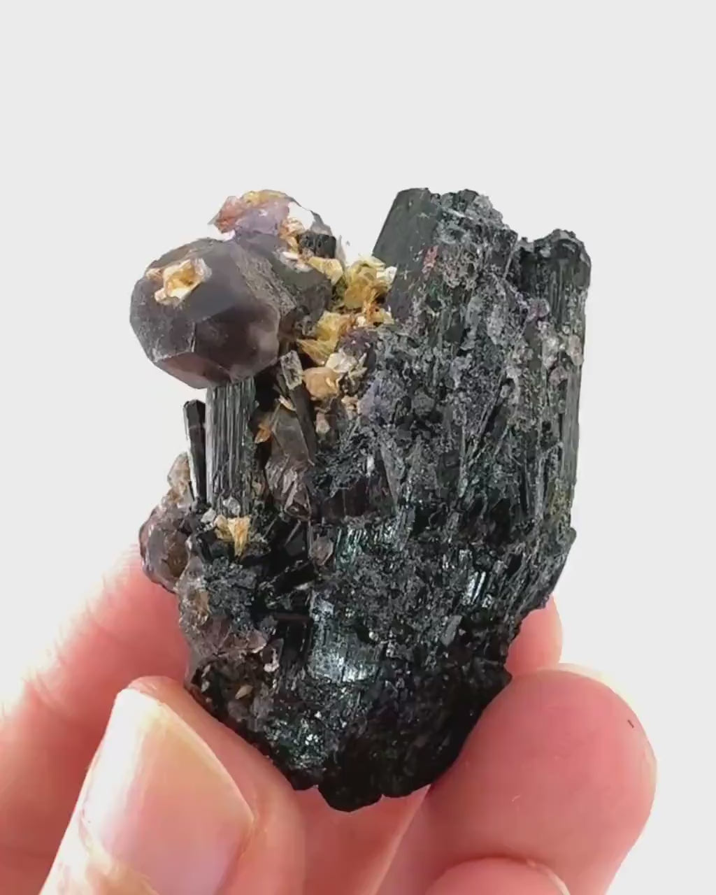 Fluorite & Hyalite Opal on Black Tourmaline | chocolate brown crystal cluster, Erongo mineral specimen