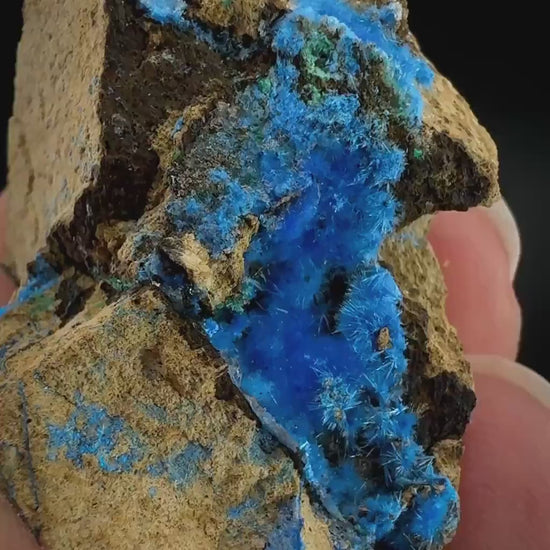 Cyanotrichite | fuzzy blue crystal, rare mineral specimen from Chile