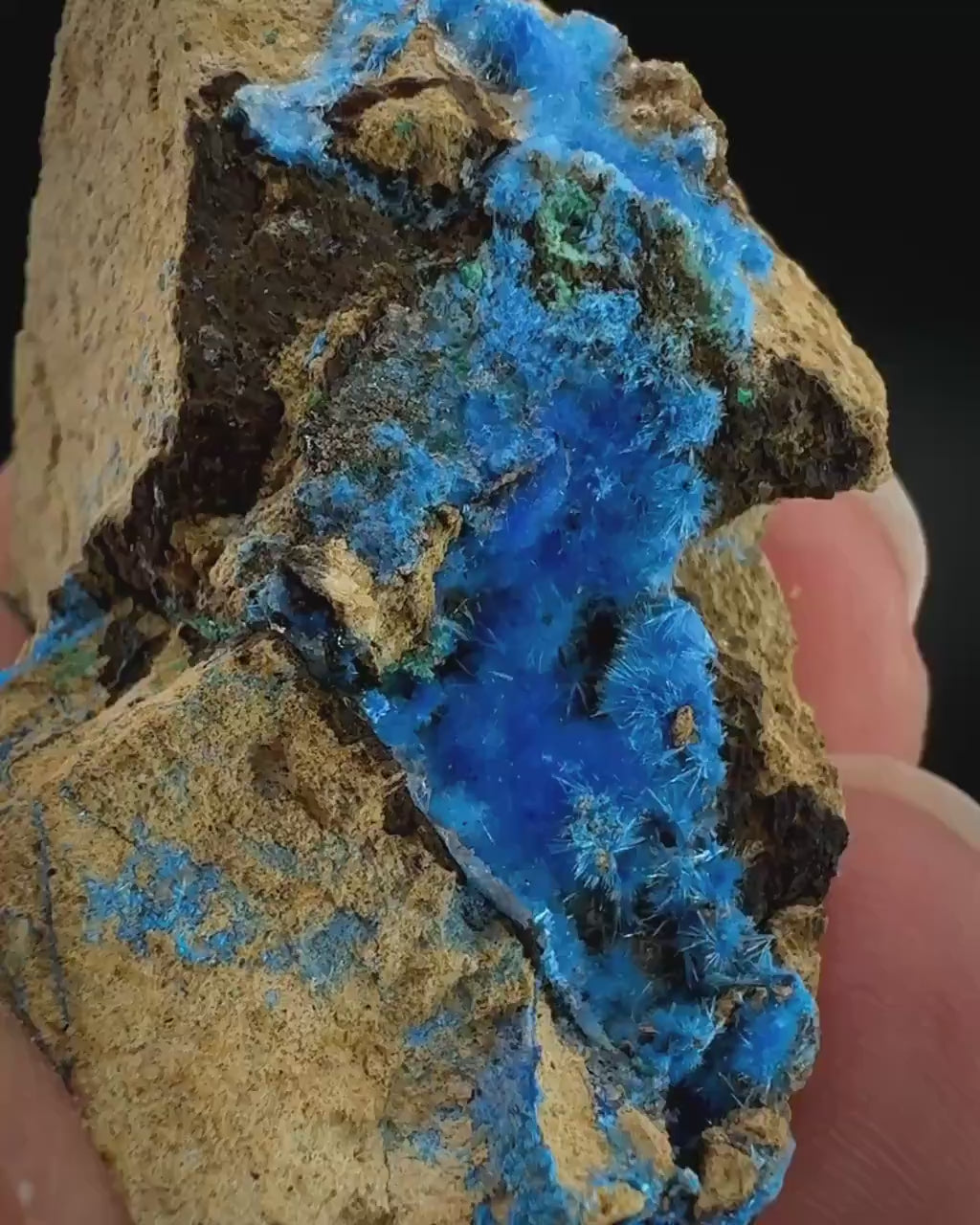 Cyanotrichite | fuzzy blue crystal, rare mineral specimen from Chile