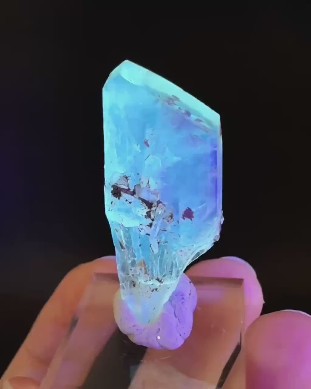 Golden Selenite Blade | Fluorescent UV Reactive Gypsum Crystal