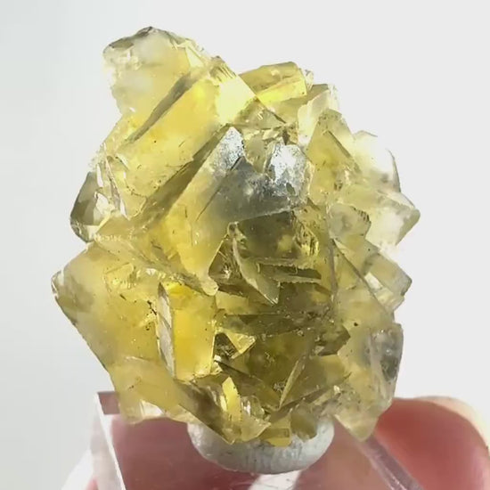 Okorusu Fluorite (Namibia) | “Honey Pocket” fluorite cluster, yellow fluorite crystal, mineral specimen