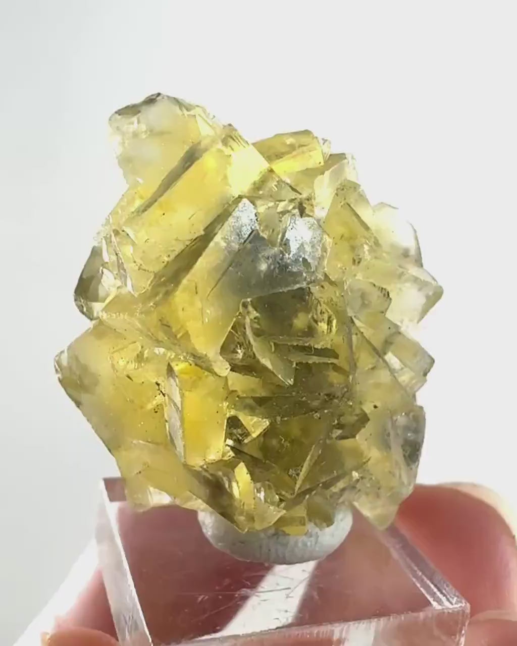 Okorusu Fluorite (Namibia) | “Honey Pocket” fluorite cluster, yellow fluorite crystal, mineral specimen