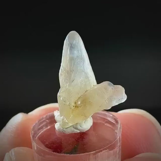 Ceylon Sapphire | natural uncut raw sapphire crystal, mineral specimen from Sri Lanka