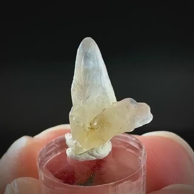 Ceylon Sapphire | natural uncut raw sapphire crystal, mineral specimen from Sri Lanka
