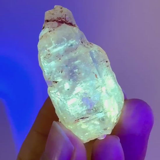 Firefly Petroleum Quartz | UV reactive crystal, fluorescent mineral from Madagascar