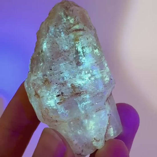 Firefly Petroleum Quartz | UV reactive crystal, fluorescent mineral from Madagascar