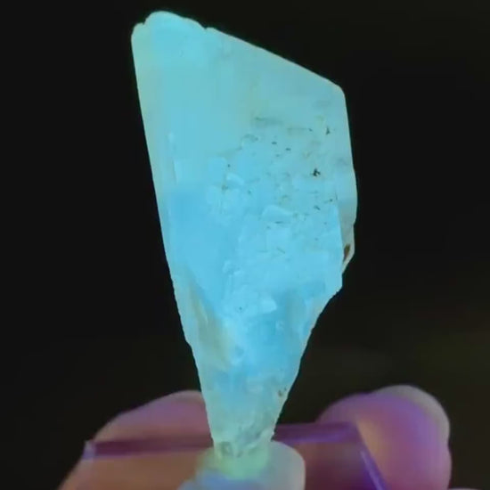 Golden Selenite Blade | Fluorescent UV Reactive Gypsum Crystal
