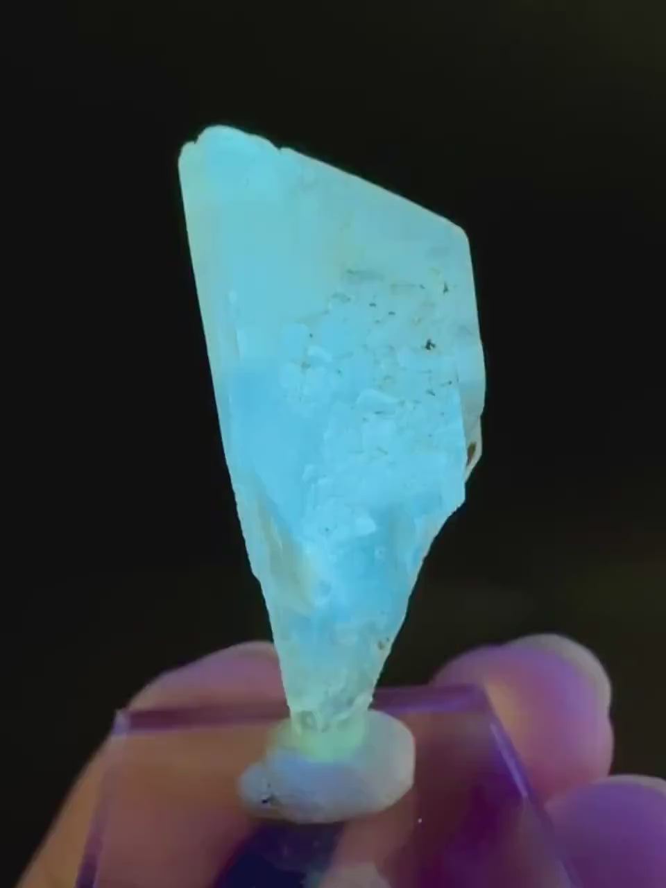 Golden Selenite Blade | Fluorescent UV Reactive Gypsum Crystal