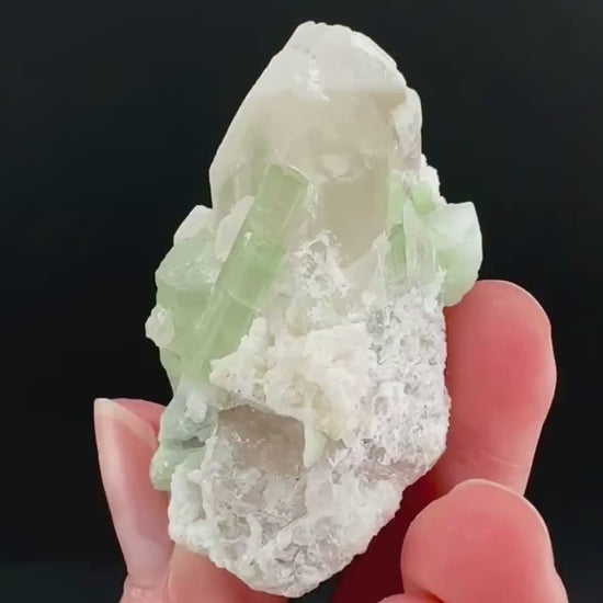 Tourmaline on Quartz | Natural Green Crystal, Mineral Specimen from Pakistan