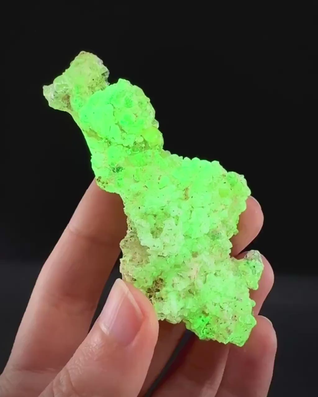 Hyalite Opal (Namibia) | UV reactive Hyalite Opal, daylight fluorescent, mineral specimen