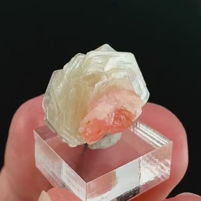 Rhodochrosite w/ Muscovite | pink crystal, mineral specimen from Pakistan