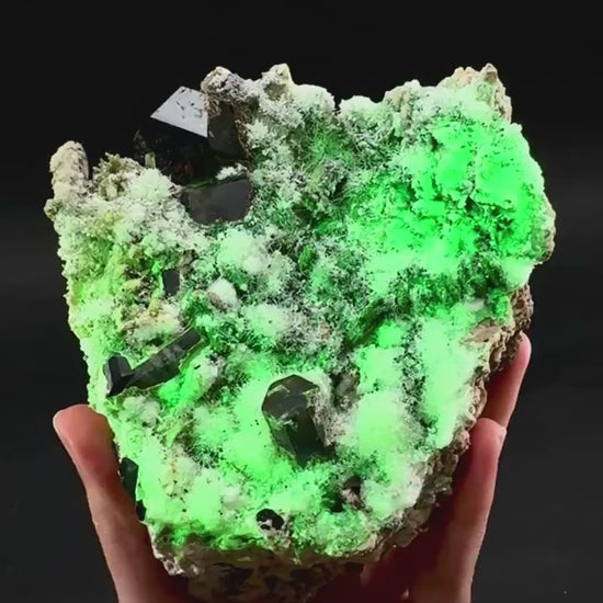 UV Reactive Hyalite Opal w/ Aquamarine & Black Tourmaline | Fluorescent Mineral Specimen from Namibia