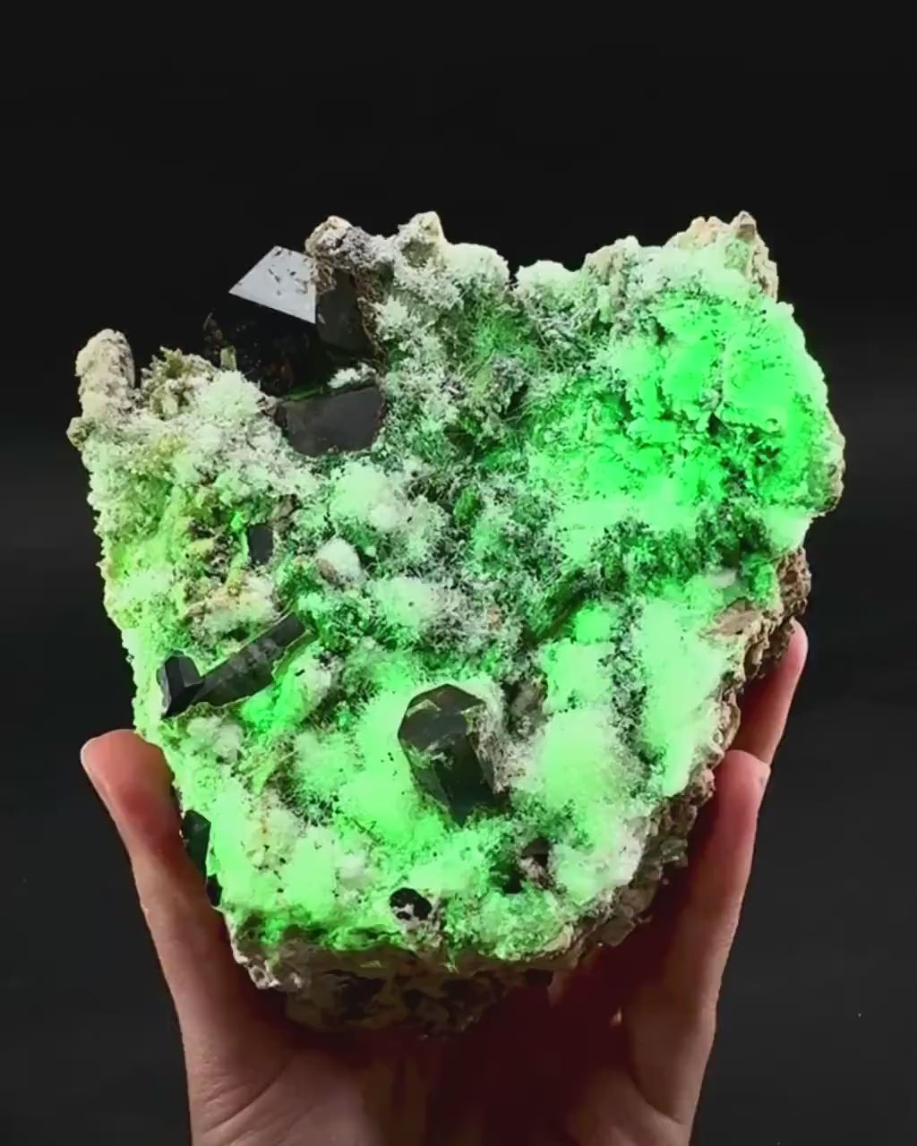 UV Reactive Hyalite Opal w/ Aquamarine & Black Tourmaline | Fluorescent Mineral Specimen from Namibia