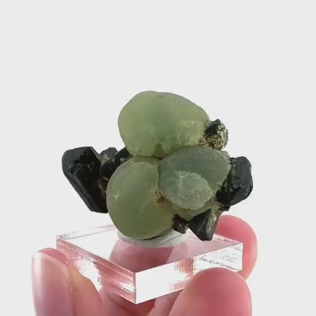 Prehnite with Epidote | Botryoidal green crystal, mineral specimen from Mali