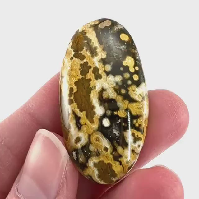 Orbicular Ocean Jasper Cabochon | Natural Gemstone