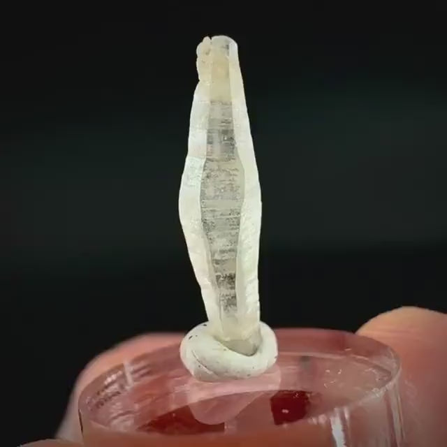 Ceylon Sapphire | natural uncut raw sapphire crystal, mineral specimen from Sri Lanka