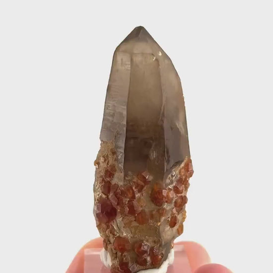 Spessartine Garnet on Smoky Quartz (China) | garnet crystal, rare crystals, orange garnet, mineral specimen