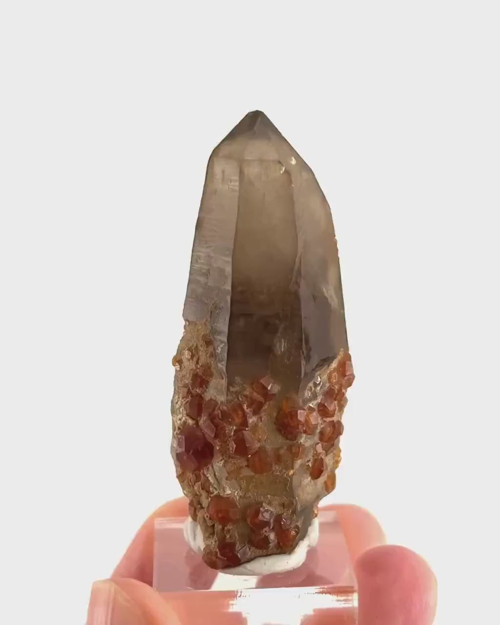 Spessartine Garnet on Smoky Quartz (China) | garnet crystal, rare crystals, orange garnet, mineral specimen