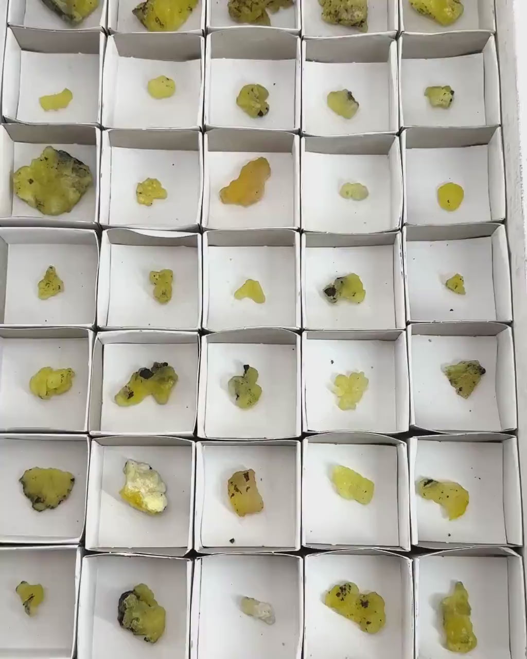 35pcs Yellow Brucite Wholesale | yellow brucite specimen, raw brucite, yellow brucite crystal, wholesale crystals, bulk crystals