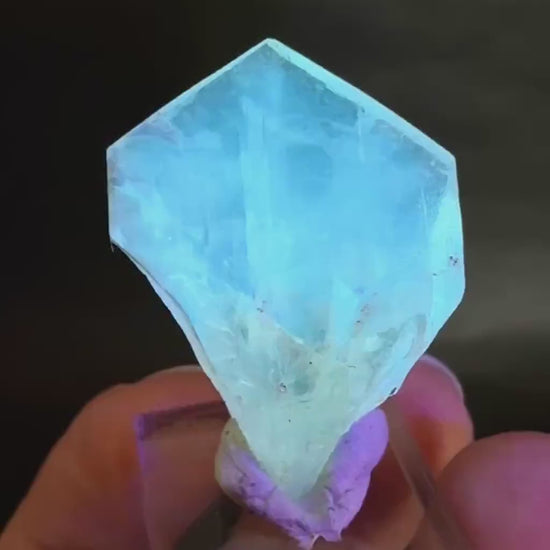 Golden Selenite Blade | Fluorescent UV Reactive Gypsum Crystal