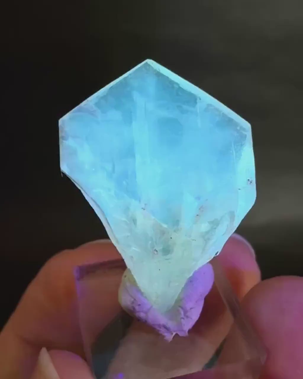 Golden Selenite Blade | Fluorescent UV Reactive Gypsum Crystal