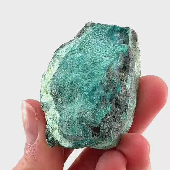 Chrysocolla Specimen (Congo), raw chrysocolla, botryoidal chrysocolla, chrysocolla crystal, rare crystals