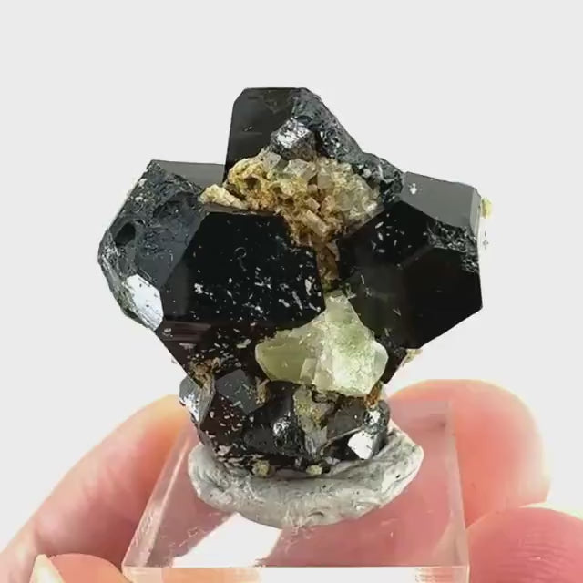 Chlorophane Fluorite w/ Black Tourmaline | natural crystal, rare mineral specimen from Erongo, Namibia