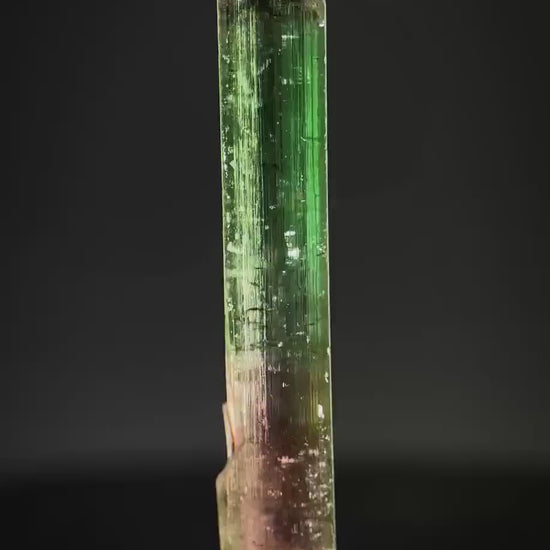 Watermelon Tourmaline | Green & Pink Bi-Color Elbaite Crystal, mineral specimen from Paprok
