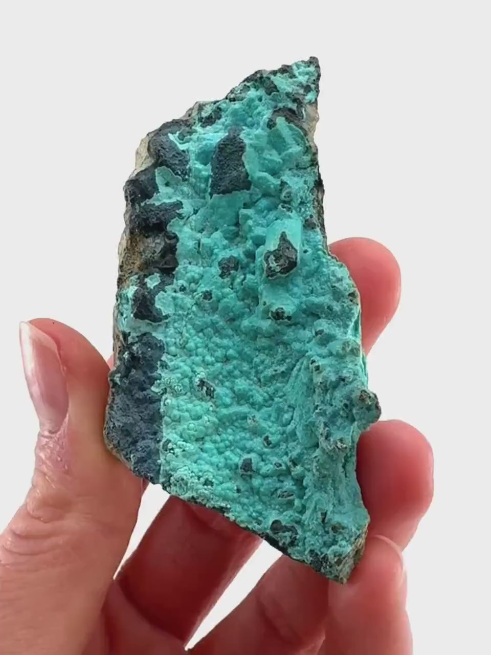Chrysocolla Specimen (Congo), raw chrysocolla, botryoidal chrysocolla, chrysocolla crystal, rare crystals