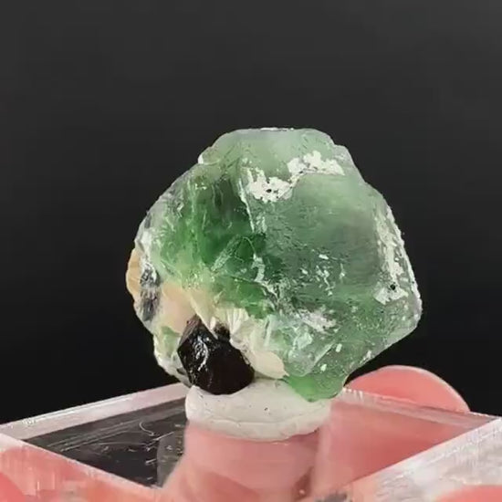 Fluorite w/ Schorl, & Muscovite | Lollipop Pocket, green crystal cluster, mineral specimen from Namibia