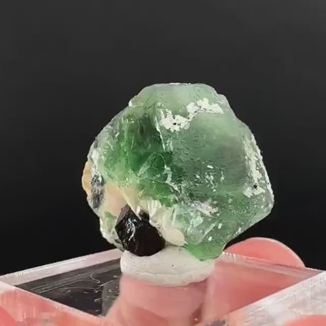 Fluorite w/ Schorl, & Muscovite | Lollipop Pocket, green crystal cluster, mineral specimen from Namibia
