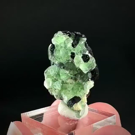 Fluorite w/ Schorl, & Muscovite | Lollipop Pocket, green crystal, mineral specimen from Namibia