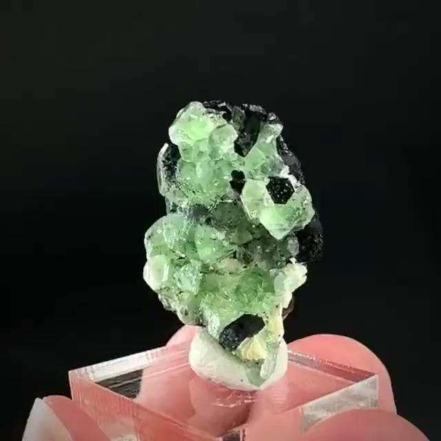 Fluorite w/ Schorl, & Muscovite | Lollipop Pocket, green crystal, mineral specimen from Namibia