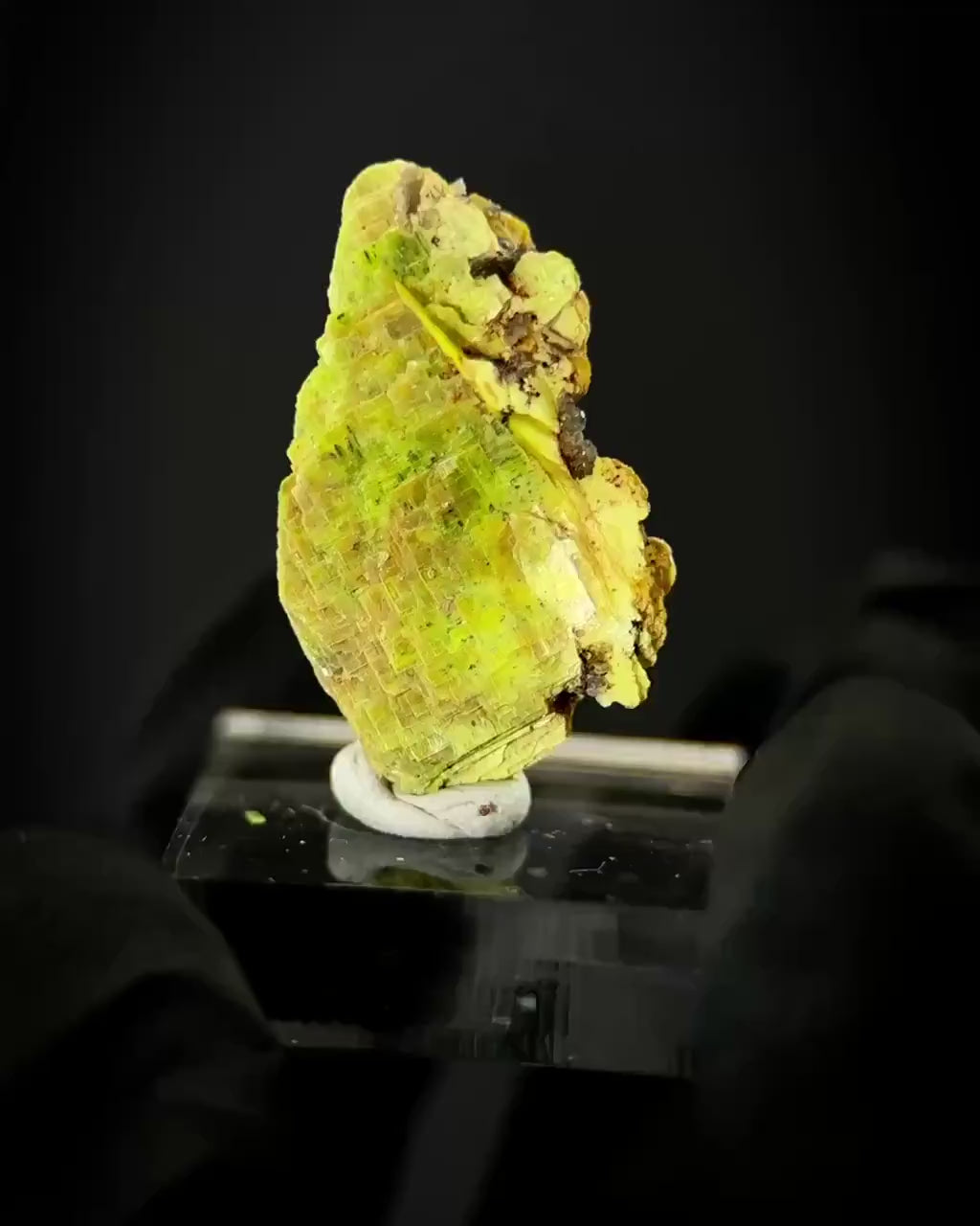 Uranocircite | fluorescent UV reactive crystal, rare mineral specimen from Germany