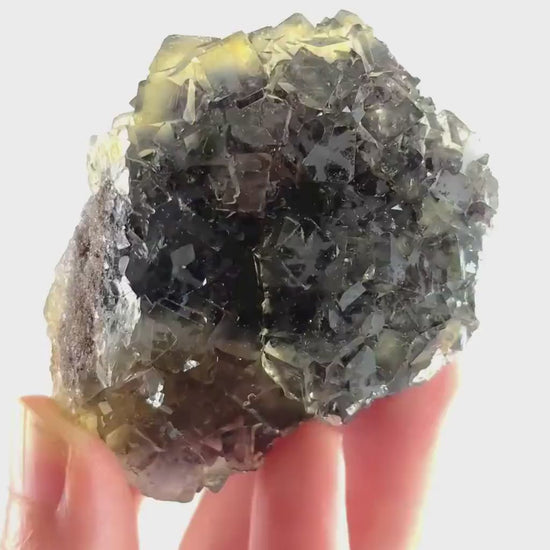 Okorusu Fluorite (Namibia) | “Honey Pocket” fluorite cluster, yellow fluorite crystal, mineral specimen