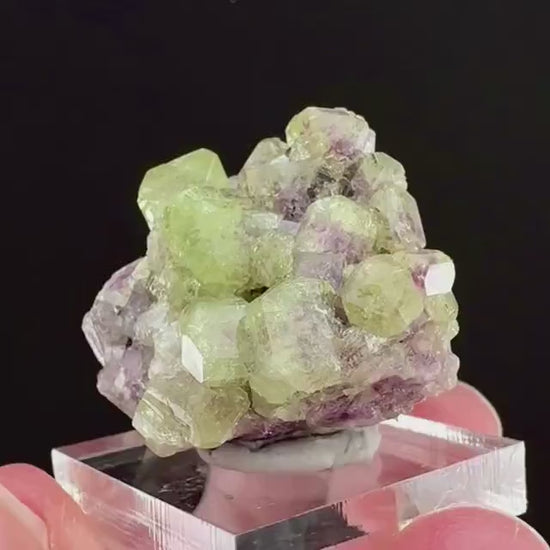 Vesuvianite (Canada) | green & purple vesuvianite crystal, rare mineral specimen
