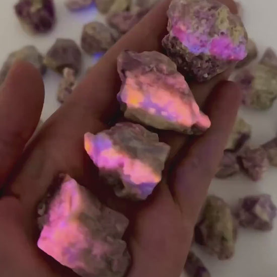 ONE UV-Reactive Hackmanite Raw Specimen | raw hackmanite, purple hackmanite, hackmanite crystal, mineral specimen
