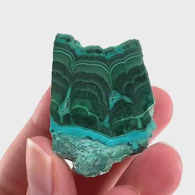Malachite & Chrysocolla Slice | Polished Malacolla Crystal Slab