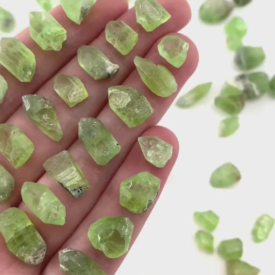 ONE Terminated Peridot Crystal (Pakistan) | Forsterite var. Peridot, raw peridot, natural peridot, peridot crystal, august birthstone