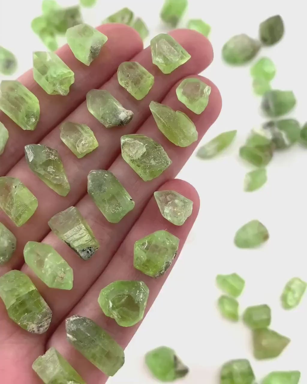 ONE Terminated Peridot Crystal (Pakistan) | Forsterite var. Peridot, raw peridot, natural peridot, peridot crystal, august birthstone