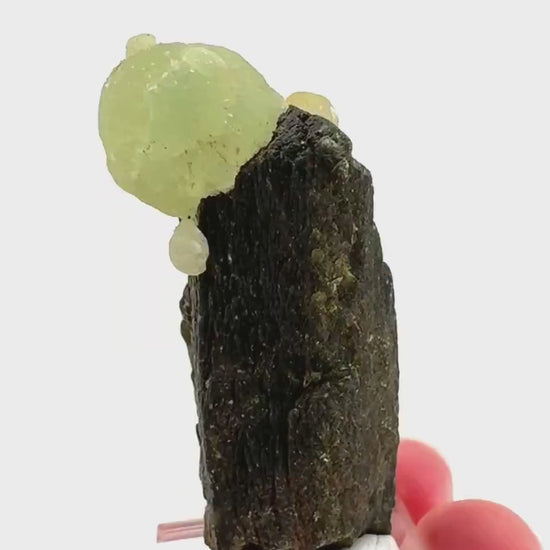 Prehnite with Epidote | Botryoidal green crystal, mineral specimen from Mali