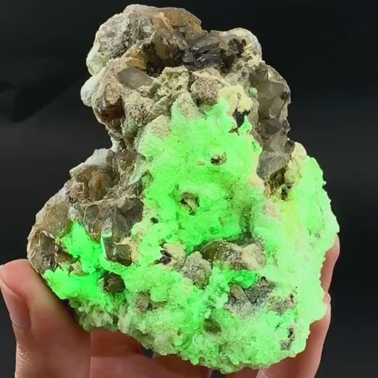 UV Reactive Hyalite Opal on Smoky Quartz | Fluorescent Mineral Specimen from Namibia